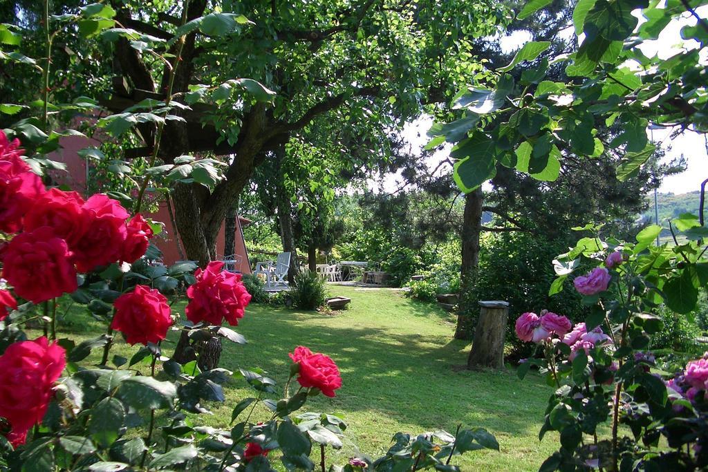 Hazelnut Valley Guarene Bilik gambar