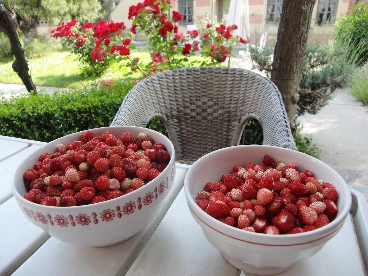 Hazelnut Valley Guarene Luaran gambar